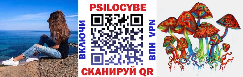 Купить закладки  Слюдянка  Галлюциногенные грибы прущие грибы 
